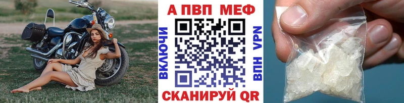 A PVP СК КРИС  Ардатов 