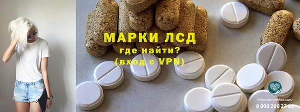 сатива Сатка