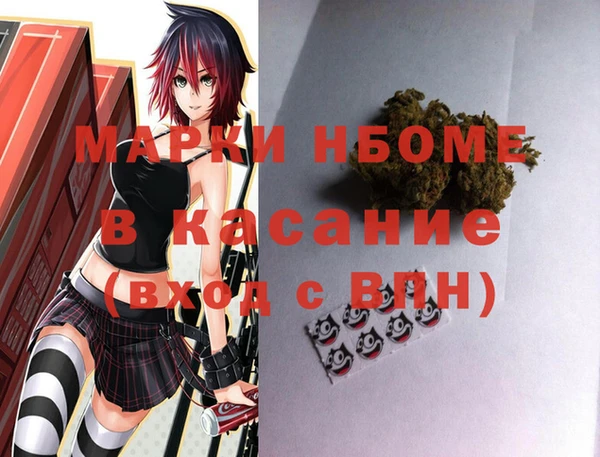 сатива Сатка