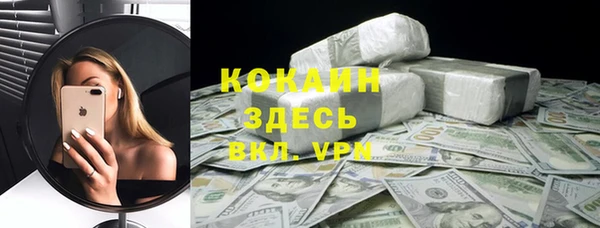 сатива Сатка