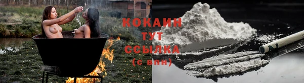 сатива Сатка
