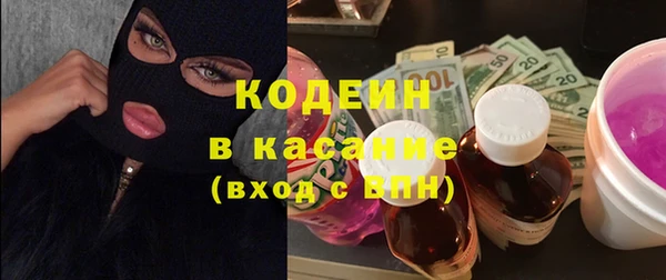 сатива Сатка