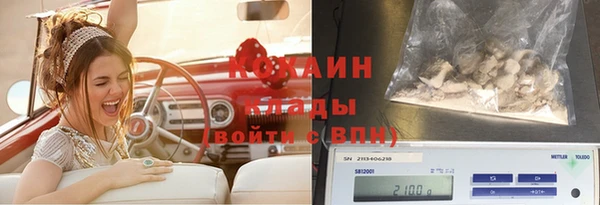 сатива Сатка