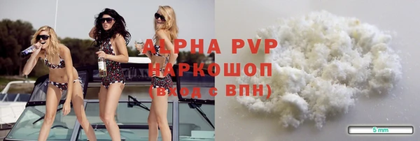 сатива Сатка