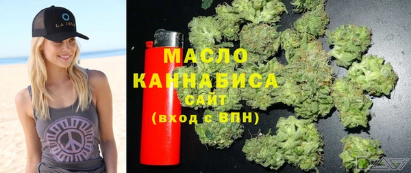сатива Сатка