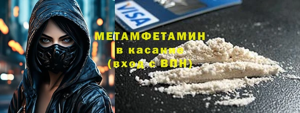 сатива Сатка