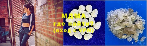 молекула духа Щигры