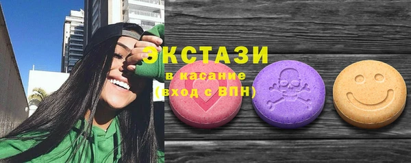 сатива Сатка