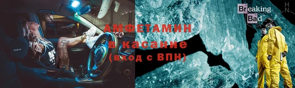сатива Сатка
