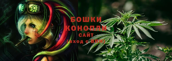 молекула духа Щигры