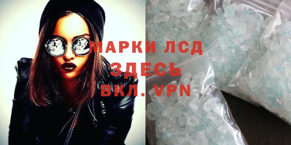 сатива Сатка