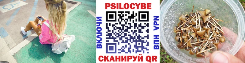 MEGA ТОР Ардатов Галлюциногенные грибы прущие грибы